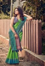 siddharthsilkmillssilkboranzavol1silkfunctionwearsareessupplier520240214173425 Yashviena Heritage